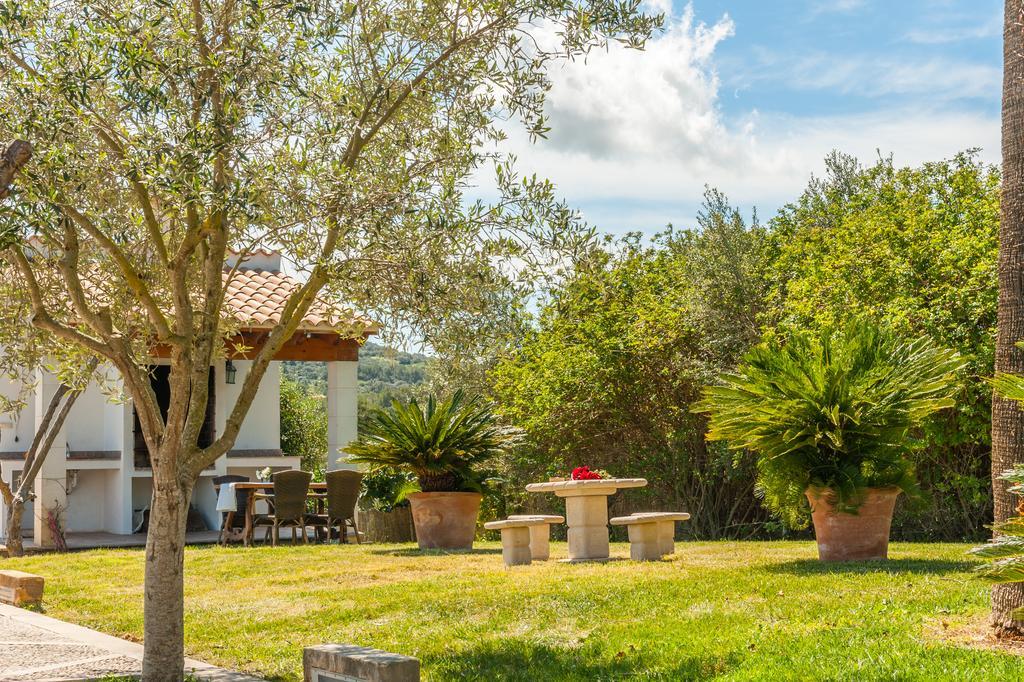 Agroturismo Son Burgues Petra  Extérieur photo